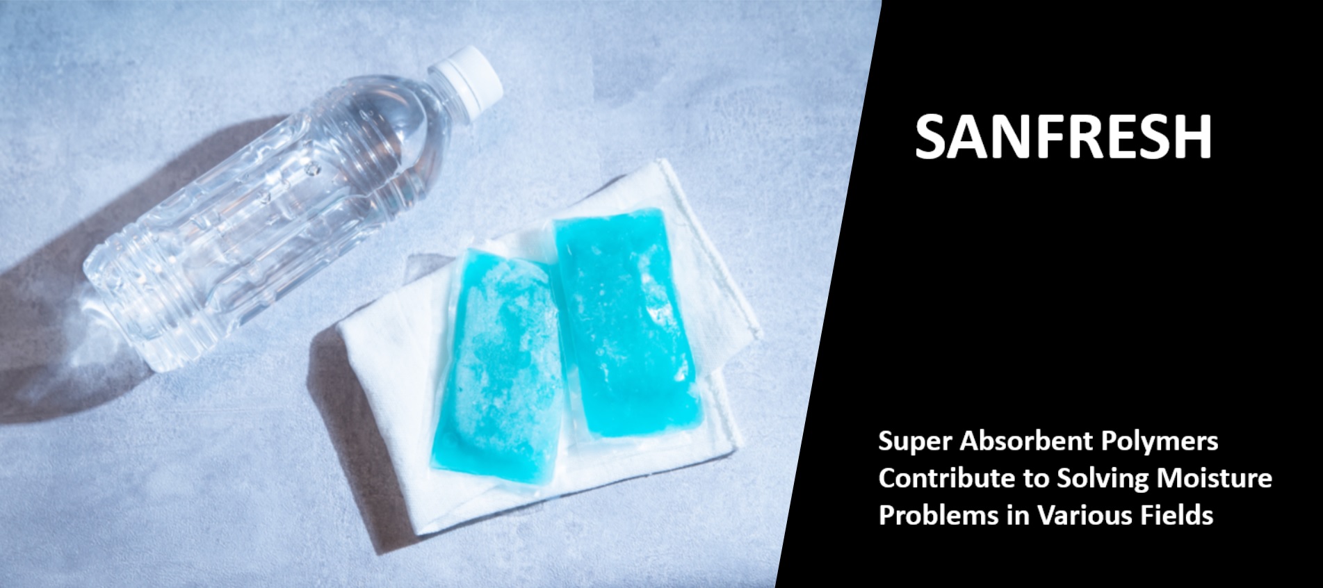 Superabsorbent Polymer (SAP) "SANFRESH" page is now open.